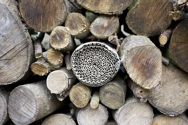 Insect or bug hotel made from plastic bottle and roll of corrugated cardboard in log pile Cotswolds UK