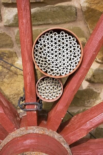 Insect house - habitat with hollow tubes of varying sizes to attract bees, ladybirds lacewings on house wall. Worcestershire UK