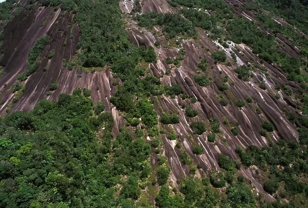 Inselberg - Aerial view French Guiana forest
