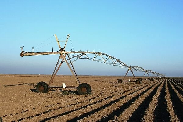 Irrigation - cotton field. Guadalquivir delta - Spain
