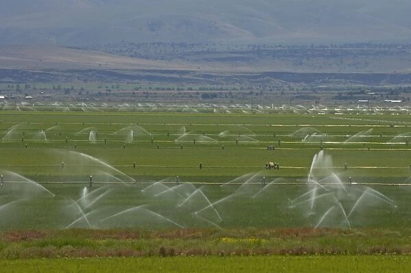 Irrigation of fertile valley Klamath Falls area Oregon, USA LA000819