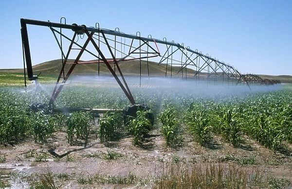 Irrigation - maize Nebraska USA