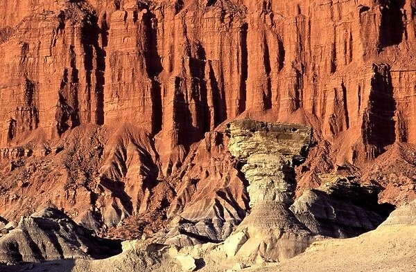 Ischigualasto Formation, Argentina FG 12420 'Valley of the Moon' - Ischigualasto Provincial Park, - Province San Juan World Heritage Site - Formation known as 'The Mushroom', Triassic sediments