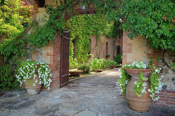 Italy, Tuscany. Courtyard of an agriturismo near the hill town of Montalcino. Date: 22-09-2010