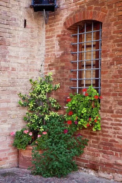 Framed Print : Italy, Tuscany. Plants inside the Abbazia di Monte Oliveto Maggiore, one of the rural monasteries in Tuscany. Date: 23-09-2010 Framed Print : Italy, Tuscany. Plants inside the Abbazia di Monte Oliveto Maggiore, one of the rural monasteries in Tuscany. Date: 23-09-2010