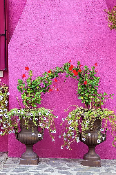 Italy, Venice, Burano Island. Urns planted with flowers against a bright pink wall on Burano Island. Date: 02-10-2010