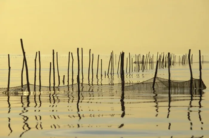 Framed Print : Italy - Venice Lagoon with fishing nets Framed Print : Italy - Venice Lagoon with fishing nets