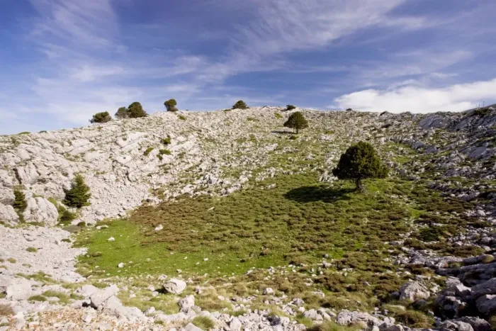 Framed Print : Karst limestone scenery, with greek firs, at about 1700m in Mount Parnassus National Park Framed Print : Karst limestone scenery, with greek firs, at about 1700m in Mount Parnassus National Park