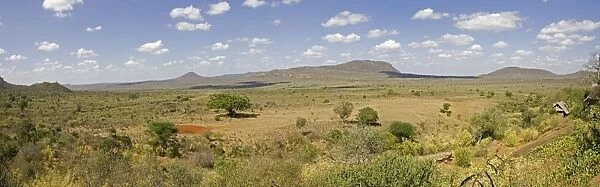 Kenya - Panoramic view of typical scenery in Tsavo West National Park taken from Nguia bandas. Kenya - East Africa