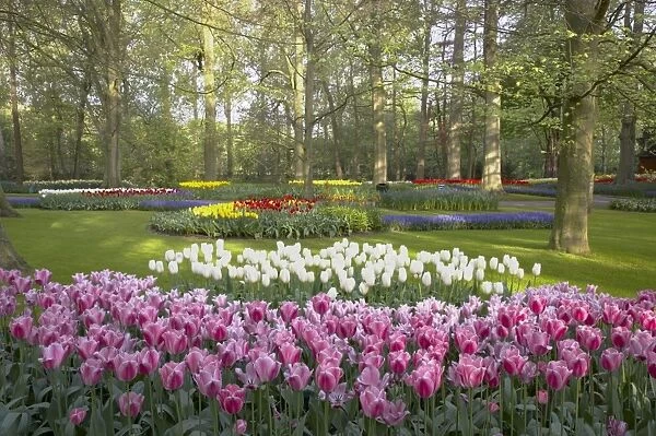 Keukenhof Gardens in Spring