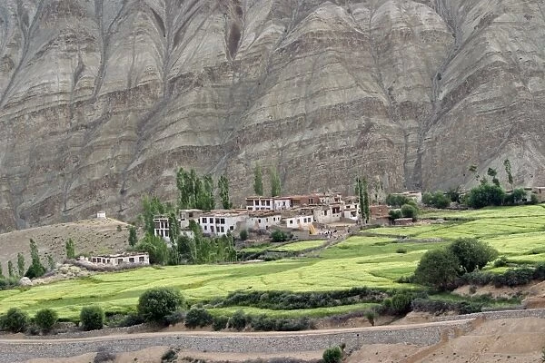 Ladakh village in Indus valley, India