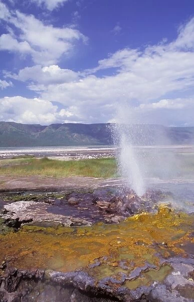 Lake Bogoria - soda lake with hot springs and geysers habitat of flamingos -Great Rift Valley - Kenya JFL12867