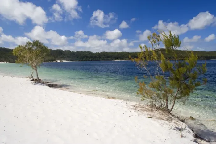 Framed Print : Lake McKenzie - white sand and sparkling blue waters are the main features of this inland, perched lake on Fraser Island. It is the most popular destination for visitors on the world's biggest sand island - Fraser Island World Heritage Site Framed Print : Lake McKenzie - white sand and sparkling blue waters are the main features of this inland, perched lake on Fraser Island. It is the most popular destination for visitors on the world's biggest sand island - Fraser Island World Heritage Site