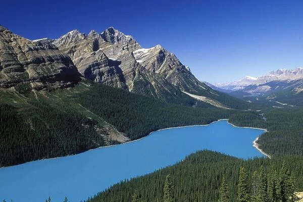 Lake Peyto - Banff National Park - Canada - Alberta