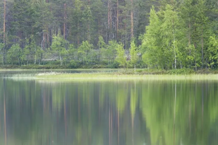 Framed Print : Lake and Reflected Forest - Finland LA003435 Framed Print : Lake and Reflected Forest - Finland LA003435