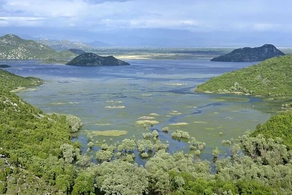 Lake Skadar embedded between mountains with marshland and isles Lake Skadar National Park, Montenegro