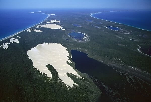 Lake Wabby deepest perched lake being engulfed by sand dunes, Fraser Island, Queensland, Australia JPF34809