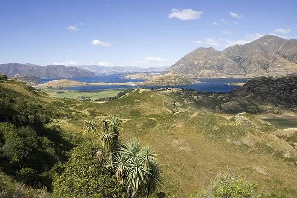Lake Wanaka viewpoint and Rocky Mountains. Diamond Lake Conservation Area - Wanaka - South Island - New Zealand