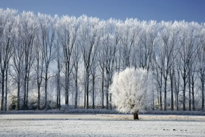 Framed Print : landscape in winter - countryside - Belgium Framed Print : landscape in winter - countryside - Belgium