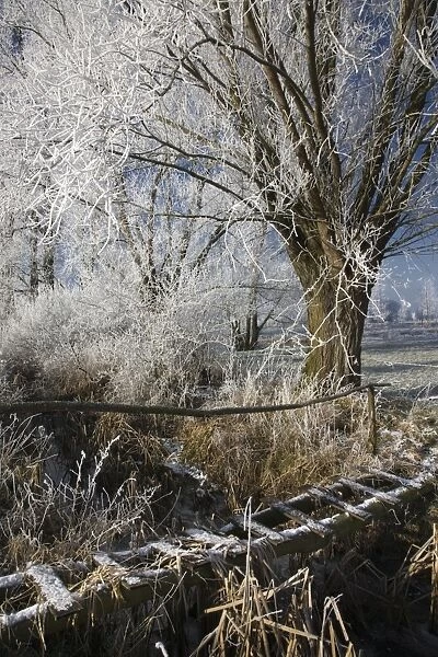 landscape in winter - with frosted bridge - countryside - Belgium