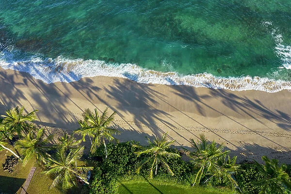 Laniakea Beach, North Shore, Oahu, Hawaii Date: 28-04-2021