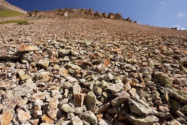 Large mountain scree slope at about 11, 000 feet, Bullion Lake-Porphyry area, San Juan Mountains, Colorado, USA, North America