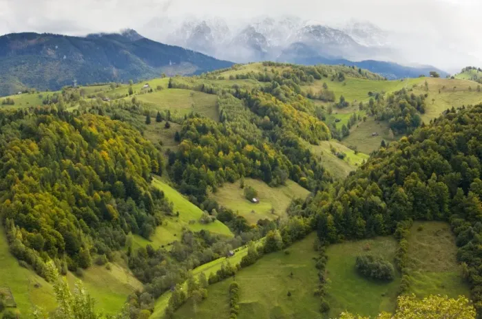 Framed Print : The Leaota Mountains (part of the southern Carpathians) south of Bran with the first snow of autumn. Romania Framed Print : The Leaota Mountains (part of the southern Carpathians) south of Bran with the first snow of autumn. Romania