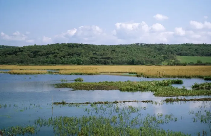Framed Print : Leighton Moss Nature Reserve (RSPB)