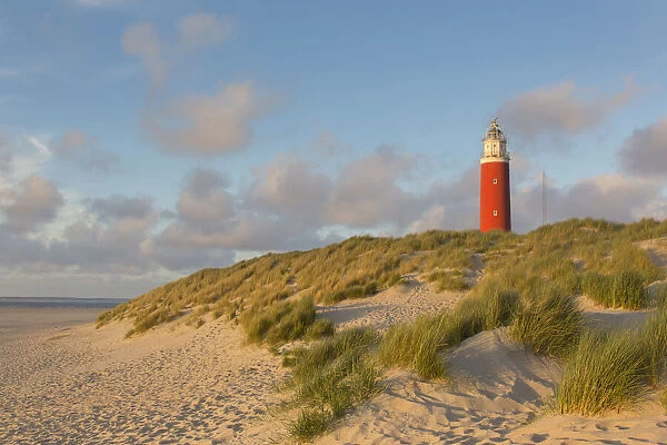 Lighthouse Eierland - Isle of Texel - Noord-Holland