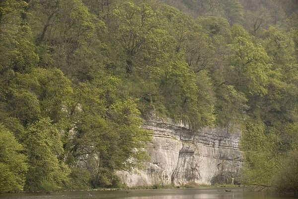 Limestone cliffs and natural woodland along the River Wye, Peak District, Derbyshire