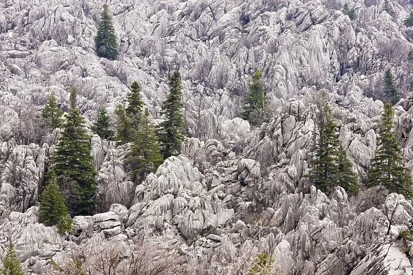 Limestone Karst landscape, with remnants of coniferous forest, in the Yaban Hayati National Park, Taurus Mountains, south Turkey