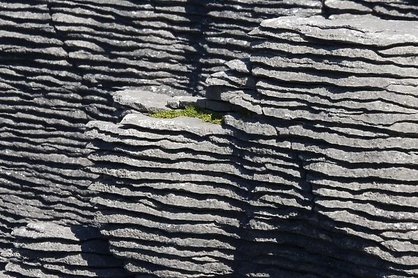Limestone outcrops on cliffs. Punakaiki - South Island - New Zealand. Pancake rocks form the main focus for visitors in Paparoa National Park where huge outcrops of limestone have been formed by a process called stylobedding