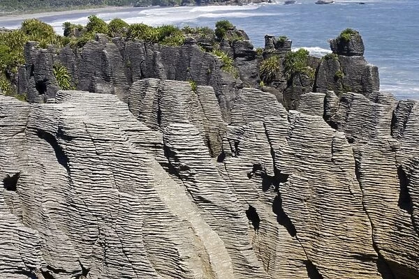 Limestone outcrops on cliffs. Punakaiki South Island - New Zealand. Pancake rocks form the main focus for visitors in Paparoa National Park where high outcrops of limestone have been formed by a process called stylobedding