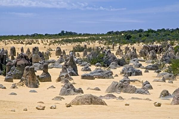 Limestone pillars in the Pinnacle Desert, Nambung National Park, Cervantes, Western Australia