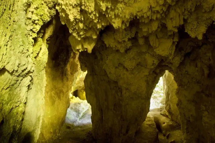 Framed Print : Limestone Tunnel a narrow path, which forks in the centre, leads through a cave-like tunnel of limestone Ruakuri Bush and Scenic Reserve, Waitomo, King Country, North Island, New Zealand Framed Print : Limestone Tunnel a narrow path, which forks in the centre, leads through a cave-like tunnel of limestone Ruakuri Bush and Scenic Reserve, Waitomo, King Country, North Island, New Zealand