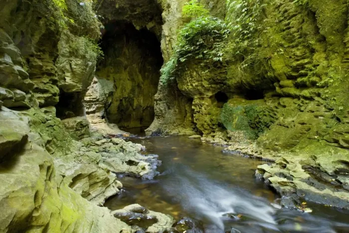 Framed Print : Limestone Tunnel river flows through a deep and narrow gorge into a cave-like limestone tunnel Ruakuri Bush and Scenic Reserve, Waitomo, King Country, North Island, New Zealand