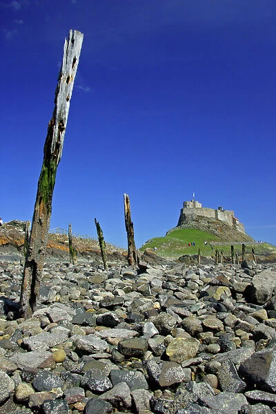 Lindisfarne, Holy Island-view of castle taken from the beach at low tide, Northumberland UK