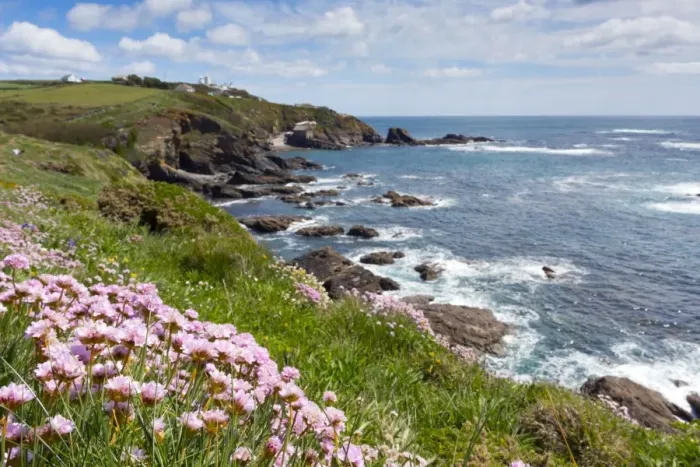 Framed Print : Lizard Point - with Thrift in foreground - Cornwall, UK Framed Print : Lizard Point - with Thrift in foreground - Cornwall, UK