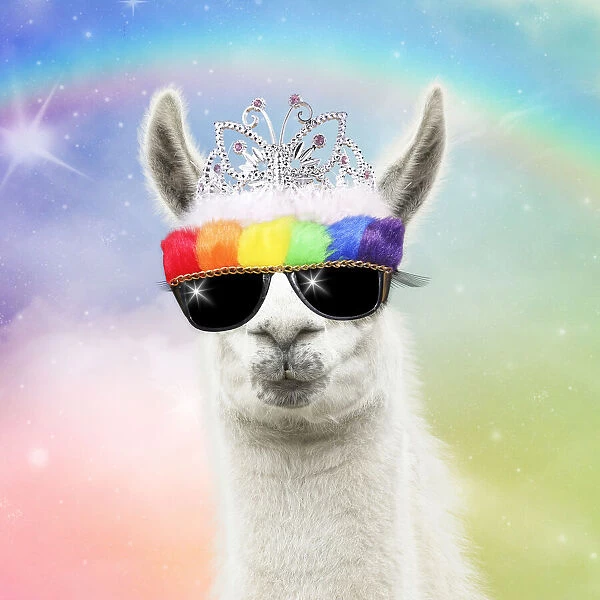 Llama with big eye lashes wearing tiara ad rainbow sunglasses Date: 13-03-2018