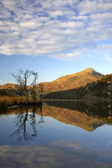 Framed Print : Llyn Gwynant - reflections on a beautiful autumn morning - November - North Wales - UK Framed Print : Llyn Gwynant - reflections on a beautiful autumn morning - November - North Wales - UK