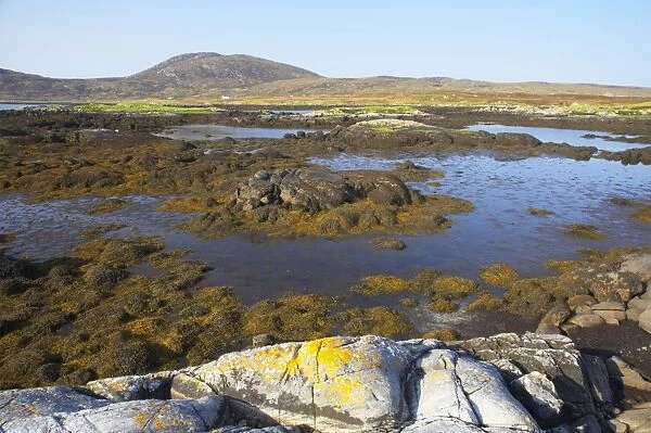 Loch Eynort at Low Tide Showing exposed beds of seaweed South Uist Outer Hebrides Scotland, UK LA003573