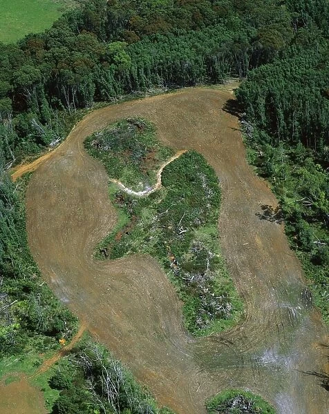 Logging roads & forest clearing showing loss of biodiversity near Cumberland Lake, West coast, Tasmania, Australia JPF52303