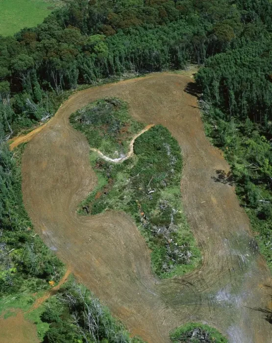 Framed Print : Logging roads & forest clearing showing loss of biodiversity near Cumberland Lake, West coast, Tasmania, Australia JPF52303 Framed Print : Logging roads & forest clearing showing loss of biodiversity near Cumberland Lake, West coast, Tasmania, Australia JPF52303