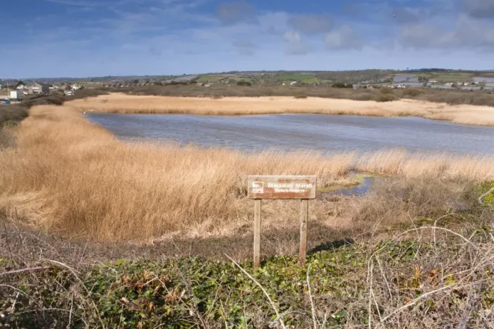 Framed Print : Long Rock Pool - Marazion Marsh - RSPB reserve - Cornwall - UK Framed Print : Long Rock Pool - Marazion Marsh - RSPB reserve - Cornwall - UK