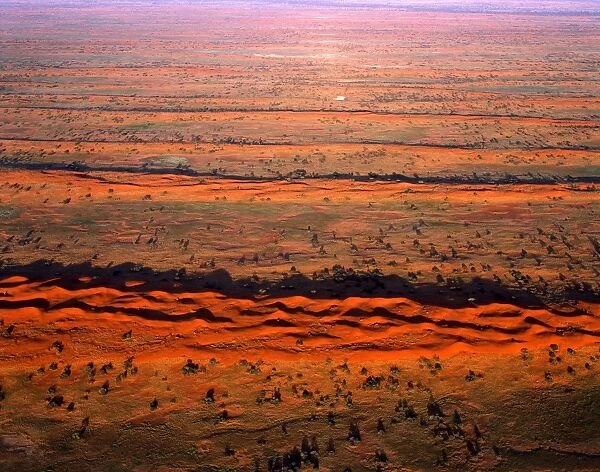 Longitudinal sand dunes - Strzelecki Desert, South Australia JPF41251