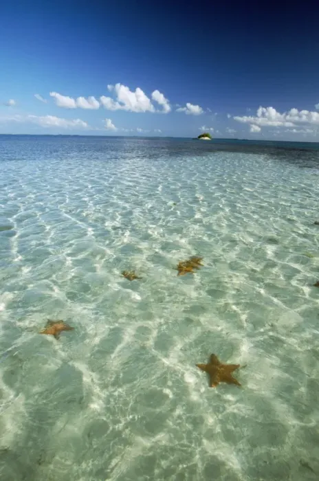Framed Print : Los Roques - Archipelago of Venezuela, view of ocean & Starfish. Marine National Park, Caribbean sea Framed Print : Los Roques - Archipelago of Venezuela, view of ocean & Starfish. Marine National Park, Caribbean sea