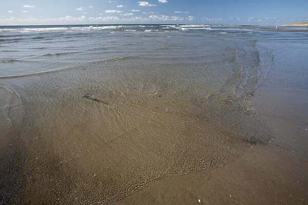 Low Tide and ripples on beach, Island of Texel, Holland
