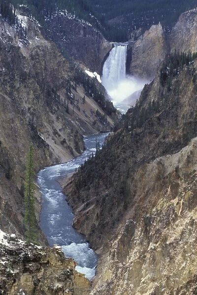 Lower Falls from Artist Point - Grand Canyon of the Yellowstone - Yellowstone National Park, Montana