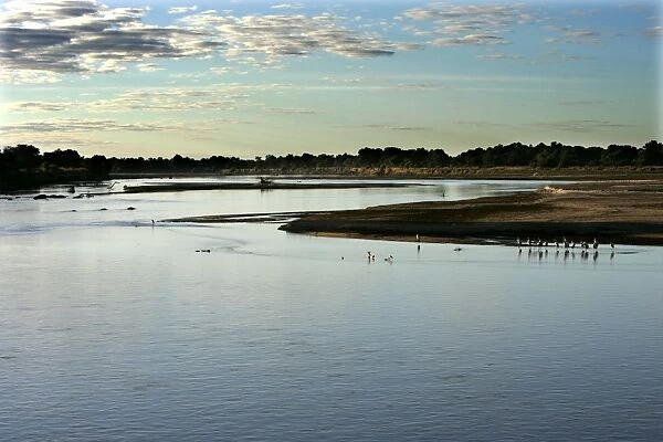 Luangwa River - South Luangwa Valley National Park - Zambia - Africa