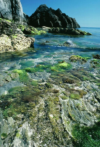 LUNDY Island - coastline at low spring tide